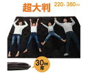 イケヒコ・コーポレーション 大判ドーク カーペット こたつ敷 ブラウン 220×360cm 1161710066413 1枚