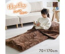 イケヒコ・コーポレーション ごろごろ こたつ布団 こたつ布団 ごろ寝 ベージュ 70×170cm 1172500027311 1枚