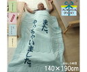 イケヒコ・コーポレーション のんべえ 寝具 肌掛け布団 ブルー 140×190cm 1201530044202 1枚