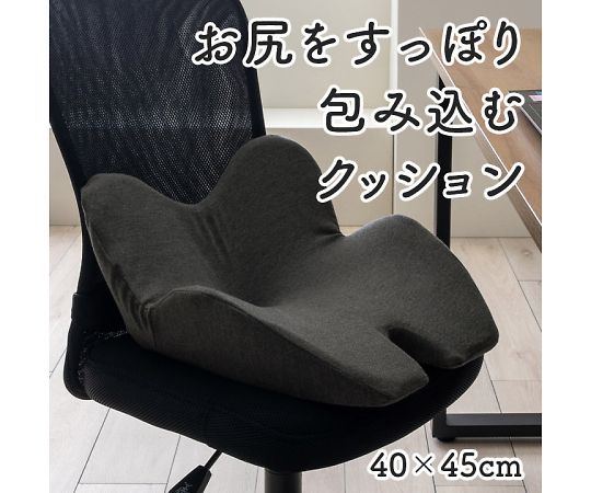 イケヒコ・コーポレーション フィース クッション・座布団 その他 ブラック 45×40cm 1212080038301 1枚