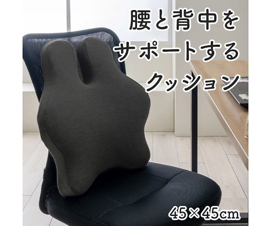 イケヒコ・コーポレーション フィース クッション・座布団 その他 ブラック 45×45cm 1212080038401 1枚