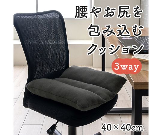 イケヒコ・コーポレーション フィース クッション・座布団 その他 ブラック 40×40cm 1212080038501 1枚