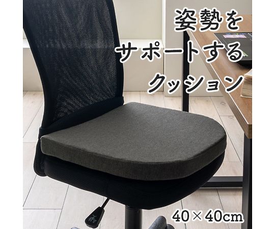 イケヒコ・コーポレーション フィース クッション・座布団 その他 ブラック 40×40cm 1212080038801 1枚