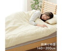 イケヒコ・コーポレーション マスクロス 寝具 肌掛け アイボリー 140×200cm 1195870149909 1枚