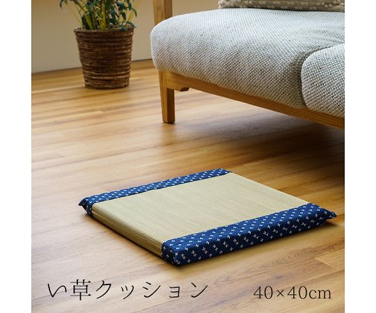 イケヒコ・コーポレーション 詩織 クッション・座布団 座布団 ネイビー 40×40cm 1142291041302 1枚
