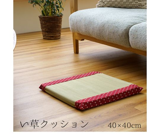 イケヒコ・コーポレーション 詩織 クッション・座布団 座布団 ローズ 40×40cm 1122950257301 1枚