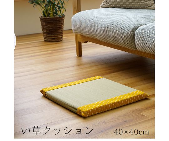 イケヒコ・コーポレーション 詩織 クッション・座布団 座布団 イエロー 40×40cm 1142291291302 1枚
