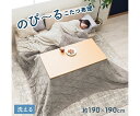 イケヒコ・コーポレーション アドオン こたつ布団 掛布団 グレ- 190×190cm 1182270130111 1枚