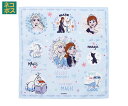 スケーター ハンカチ 30×30cm アナと雪の女王 650413 1枚