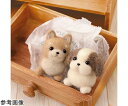 ハマナカ フェルト羊毛キット「しば犬&シーズー」 H441-341 1セット