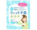 四国紙販売 水のいらない泡なしシャンプー ウェット手袋 2枚入 1パック(2枚入)