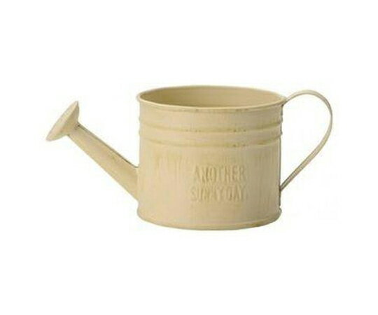 ケー・イー・アイ 2.5寸多肉用ジョーロ缶 アイボリー 1個 68-6594-42