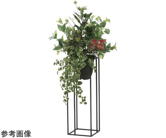 アートクリエイション グリーンスタンドプミラ 1.0 1個 2004A300