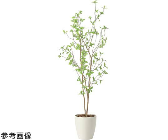 アートクリエイション クロモジ 1.6 1個 2415A260