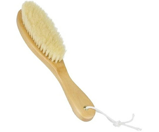 サワフジ 洋服ブラシ エチケットブラシ クリーンブラシDX 1本 CLB-91