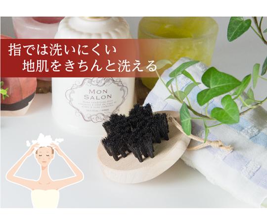 アートブラシ 黒馬毛のスカルプブラシ「さくら」 1本 60-2916-90