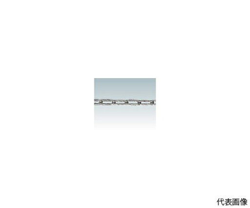 トラスコ中山 ステンレスカットチェーン 2.5mmX2m TSC-252 1本 トラスコ中山 ステンレスカットチェーン 2.5mmX2m TSC-252 1本