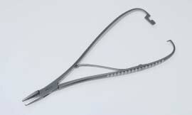 ޥå塼˴ 19cm ѥƥ쥹 ڥͥݥ