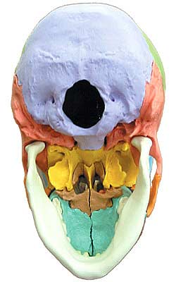 3B�� Ƭ�����Ϸ� Ƭ����22ʬ�򥭥åȥޥ�����顼���� (a291) �����Ϸ�