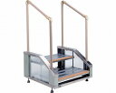【送料無料】【無料健康相談 対象製品】屋内外用手すり付ステップ (2段) (ST2)