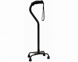 4点ステッキ (FS4-（B、C))