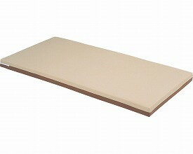 【送料無料】【無料健康相談 対象製品】リバーシブルマットレス　ロング (RM-110L)