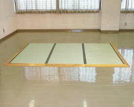 【送料無料】【無料健康相談付】車いす対応丸洗いたたみ「さわやか」　六畳2面スロープ (T-TS6-2)