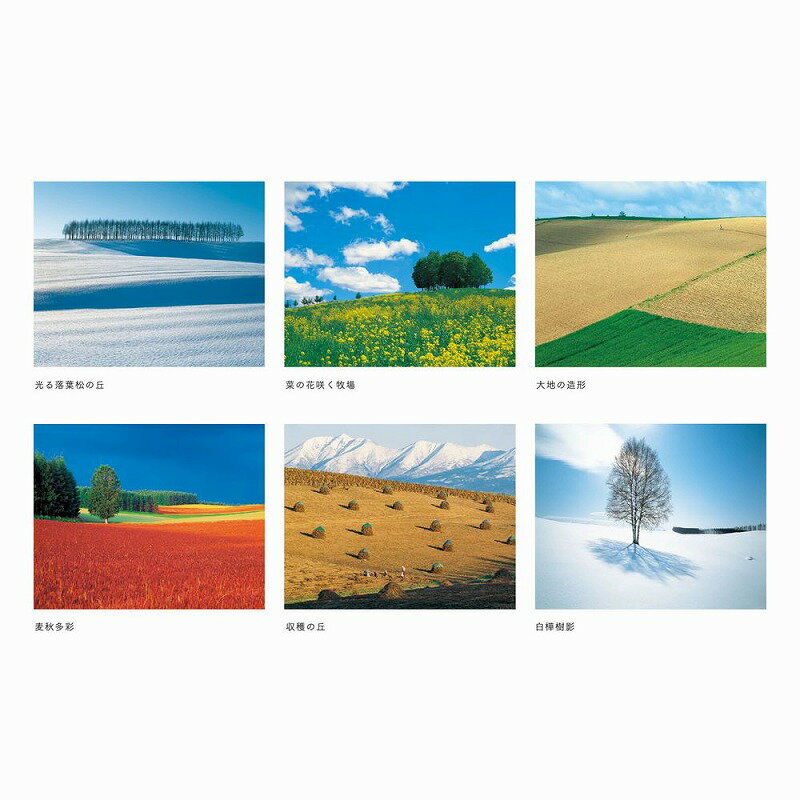 【メーカー直送】アートカレンダー 前田真三6枚セット T-7-0 額縁：茶【代金引換不可】