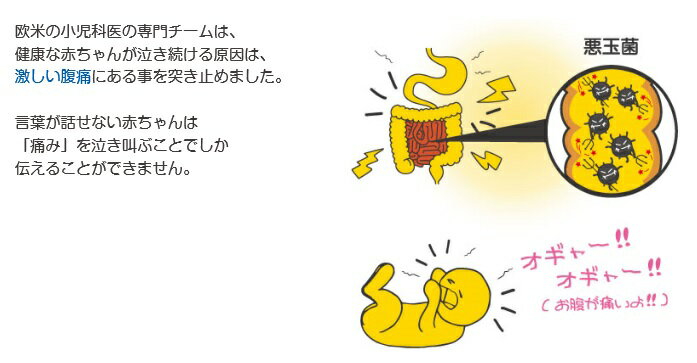 バイオガイアジャパンチャイルドヘルスベビー5ml【L.ロイテリ】【送料無料】【smtb-f】