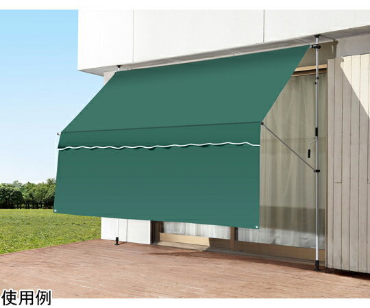 ファミリー・ライフ 日よけスクリーン＆ブラインド すだれ付き 300cm幅 グリーン 0400010 販売単位：1箱