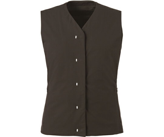 カーシーカシマ CAREAN ベスト どこでもスーツ 194-10 5L CWV194 販売単位：1枚