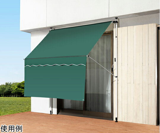 ファミリー・ライフ 日よけスクリーン＆ブラインド すだれ付き 200cm幅 グリーン 0399910 販売単位：1箱