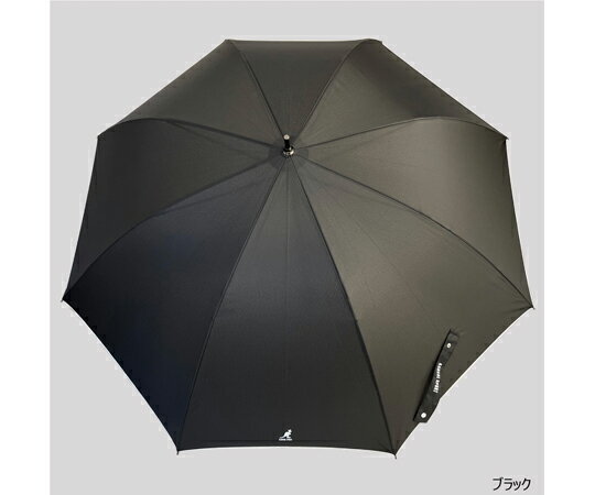 丸十コーポレーション カンゴール紳士メロウ長傘 65cm ブラック 10003603 販売単位：1個