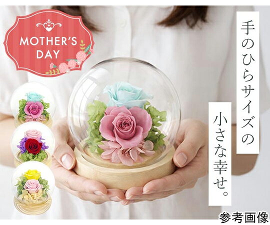 ●プレゼントに最適！ 手のひらサイズの可愛いプリザーブドアレンジメント！●水やり不要で台座付きなのでインテリアとしても可愛く、長期間楽しめます。●ガラスドームに包まれたプリザーブドフラワーアレンジメントシリーズは見た目に高級感があるだけでなく保護性能も高いため、お花を美しい状態で保つことが可能です。●母の日や父の日、引っ越し祝い、結婚祝い、退職・卒業祝い、お見舞い、お誕生日祝いなどドーム付きなので形が崩れず、色んな場面で最適なアレンジメントフラワーです。●材質：本体／プリザーブドフラワー（自然素材）・フローラルフォーム（フェノール樹脂）、ドーム／ガラス・木●カラー：希（のぞみ）／イエロー●現品サイズ：約10×10×10.2cm●現品重量：約117g●個装状態：白箱●生産国：日本●※※事業者向け商品です※※