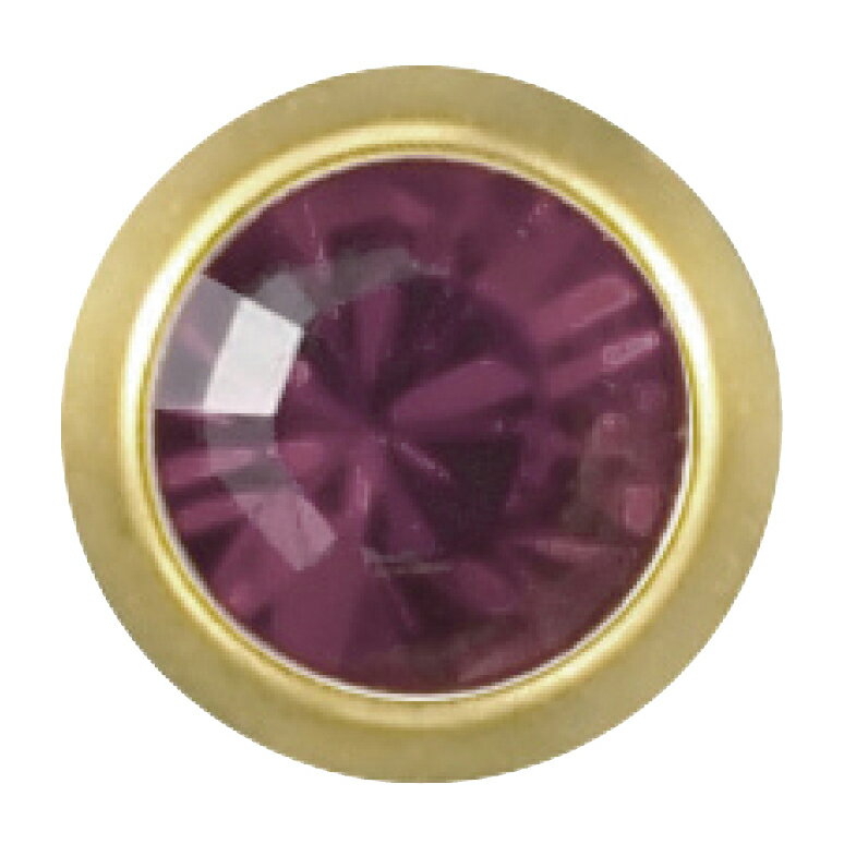 ジェイ・ヒューイット メディシステム ゴールド（レギュラー 2月アメジスト 241-1(アメジスト)12イリ