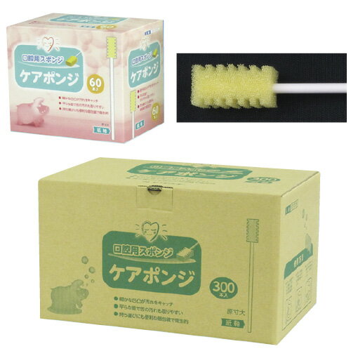 イワツキ ケアポンジ 入数：60本