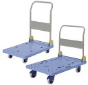 【送料無料】【無料健康相談 対象製品】運搬車(台車) NP-101GS(4)