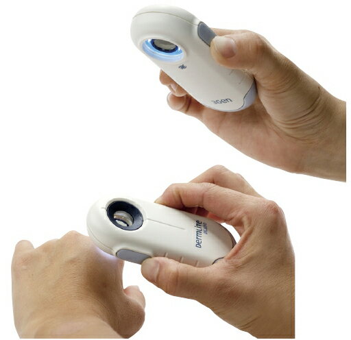 【送料無料】【無料健康相談 対象製品】ダームライトDL100 6053