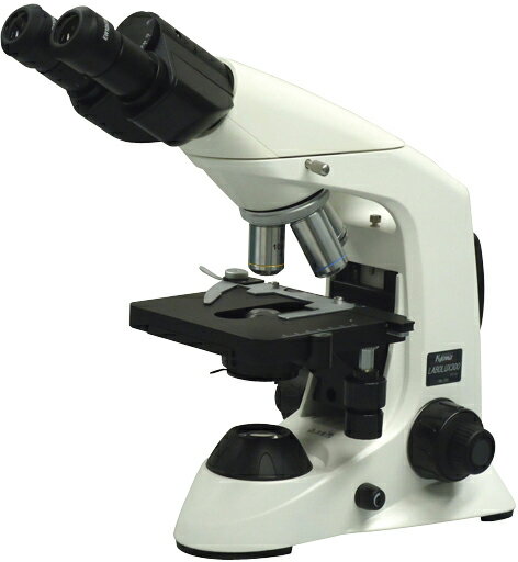生物顕微鏡　双眼鏡筒式 KN-300B