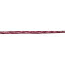 エルプポリエステルテープ(赤)10本 ETPR30501(3MMX50CM) 1袋 秋山製作所 24-3450-01(4)