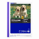 【10冊セット】かんがえる学習帳 A6こづかい帳(9行) A70