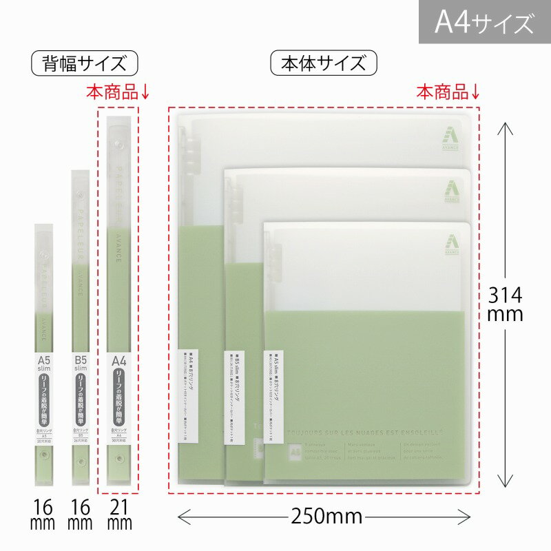 【2冊セット】パペルール　アヴァンス　A4バインダー　ピスタチオ LN56PS