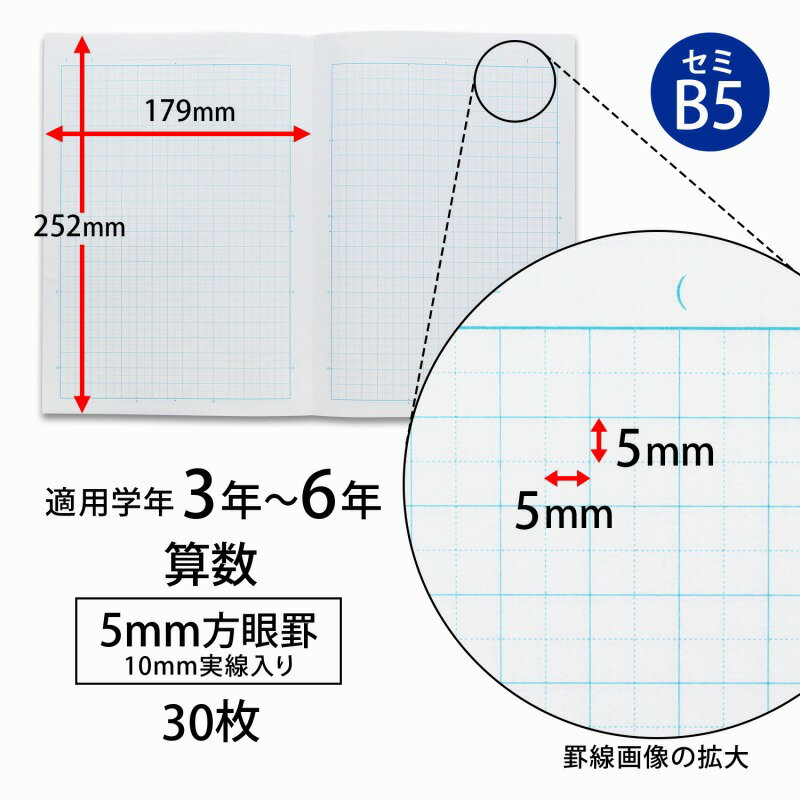 【10冊セット】スタディライト　5mm方眼罫(算数) LR5GMT
