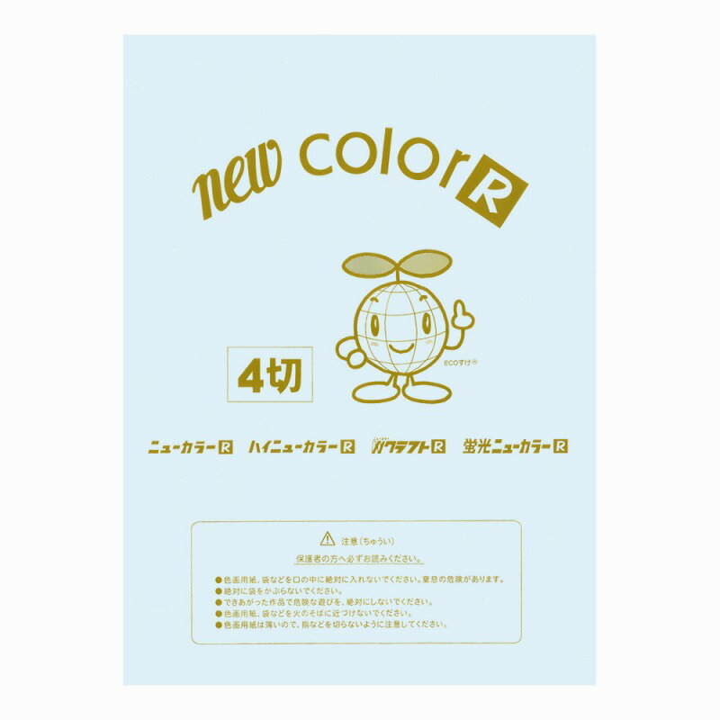 【100枚セット】ニューカラーR　スカイ　4切 NC139-4