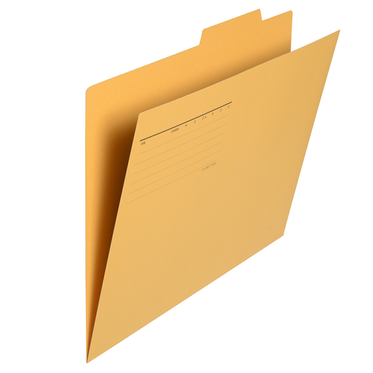 ��PLUS�� 10�ĥ��åȸ��̥ե������(�Ż�ѥ���۹������) �������� FL-068IF(87437)