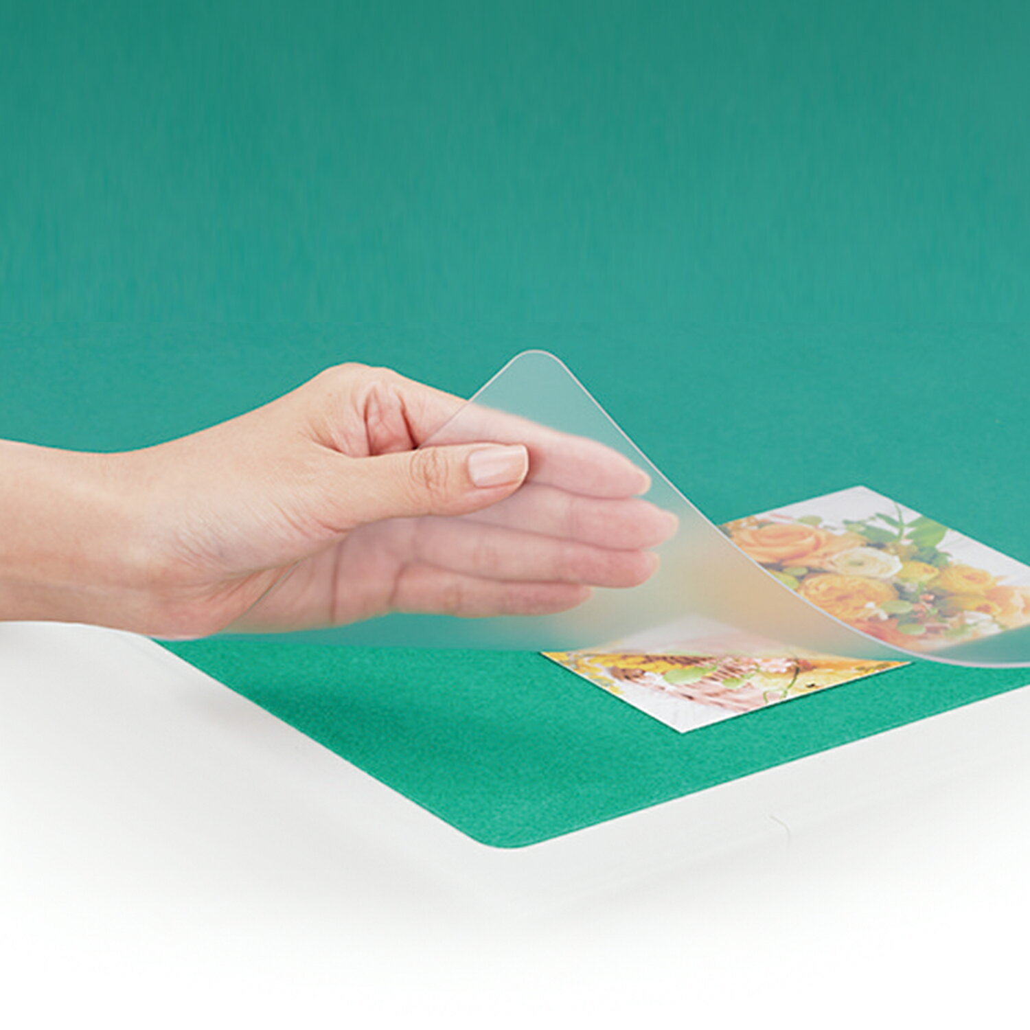 ��PLUS�� �Фᥫ�å� �ǥ����ޥå� �����Υߡ� ���ߤ��դ� Ⱦ���� �ޥ����б� ��� 5�� DM-005EW(41053) �ץ饹