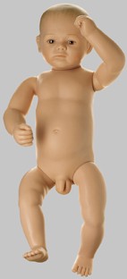 【送料無料】【無料健康相談 対象製品】ソムソ社 赤ちゃん模型 ms43/3 人体模型