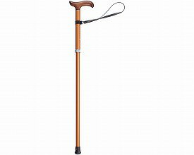 かるケイン　M　柿茶