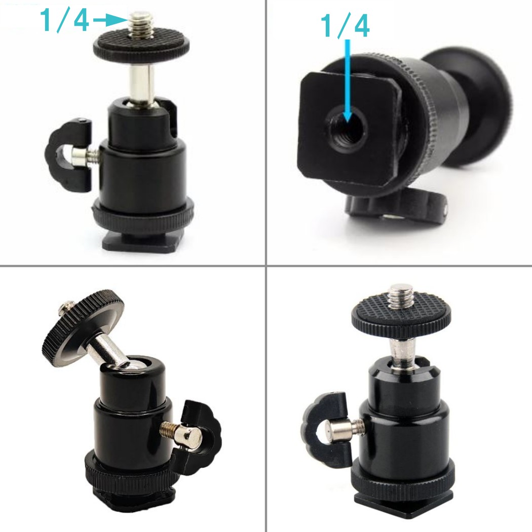 �ե�å��奬��ȥۥåȥ��塼�ޥ������ ����� �ߥ� ���� �ܡ��� ����