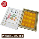 【送料無料|冷蔵】【公式】石井食品 贅沢の極み 大粒栗きんとん1kg|【12/8以降変更・キャンセル不可】イシイ 大粒 国産 茨城 和栗 くり 栗 解凍不要 マロン 和菓子 おせち料理 お節 栗きんとん ギフト お正月 贈答 プレゼント 無添加調理 石井食品 イシイ食品